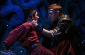 ROBIN HOOD