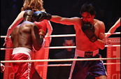 ROCKY